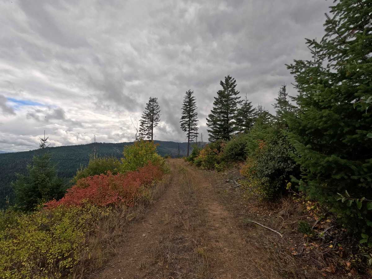 Solo Creek G - FS 659G photo 5