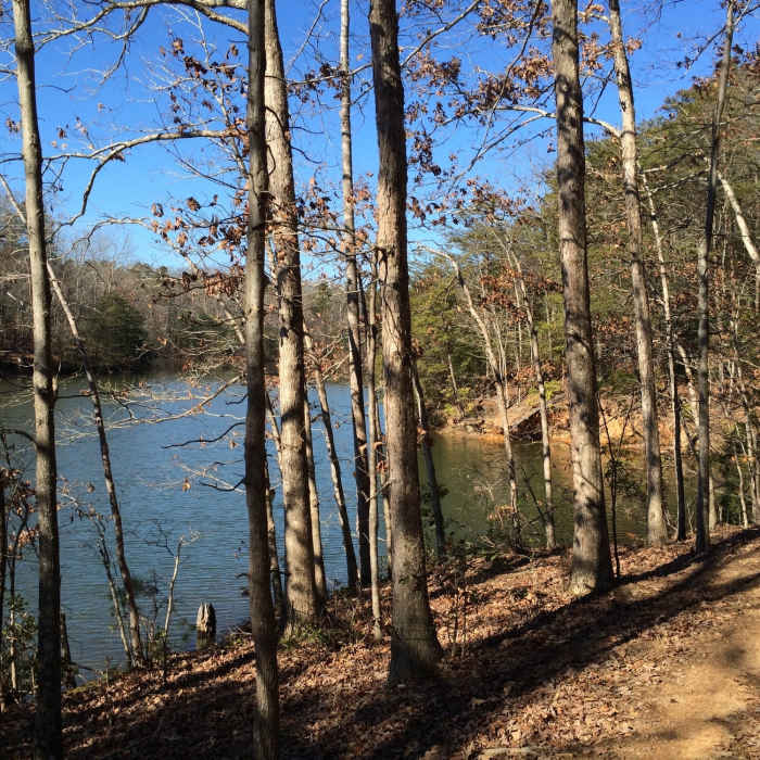 Near Dragonfly Trail