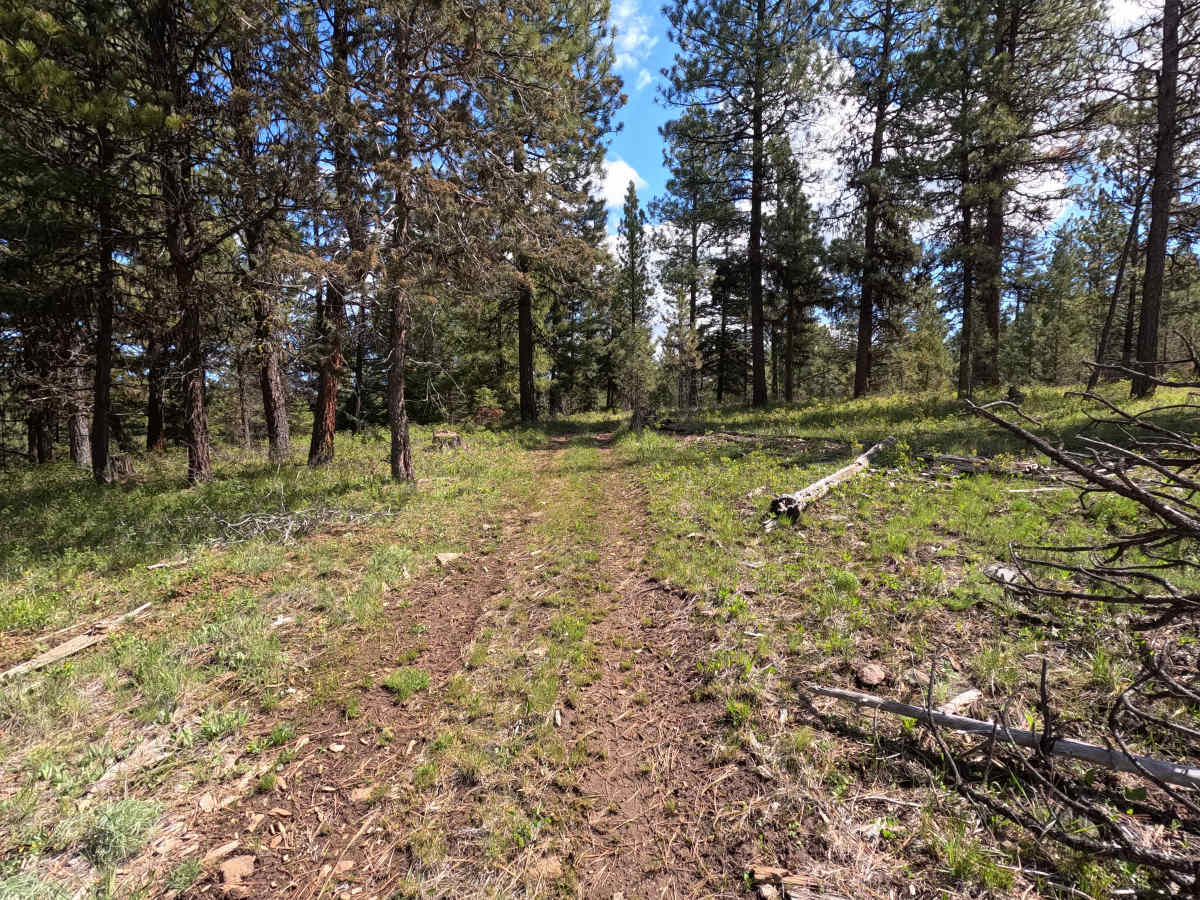 Trail 86 photo 2
