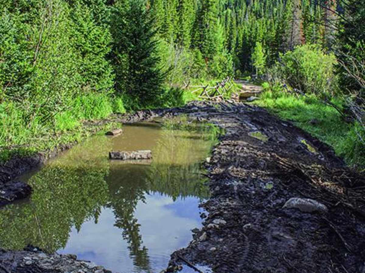 Middle St. Vrain, Coney Flats trail photo