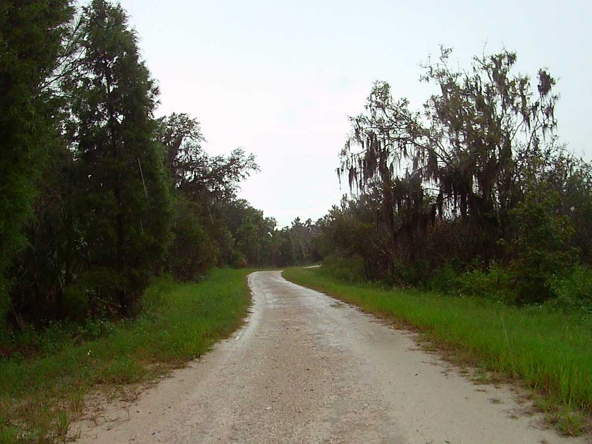 Tenoroc Mine Road trail photo