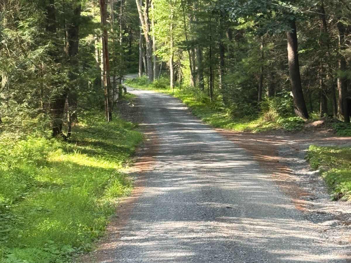 Truman Run Road trail photo
