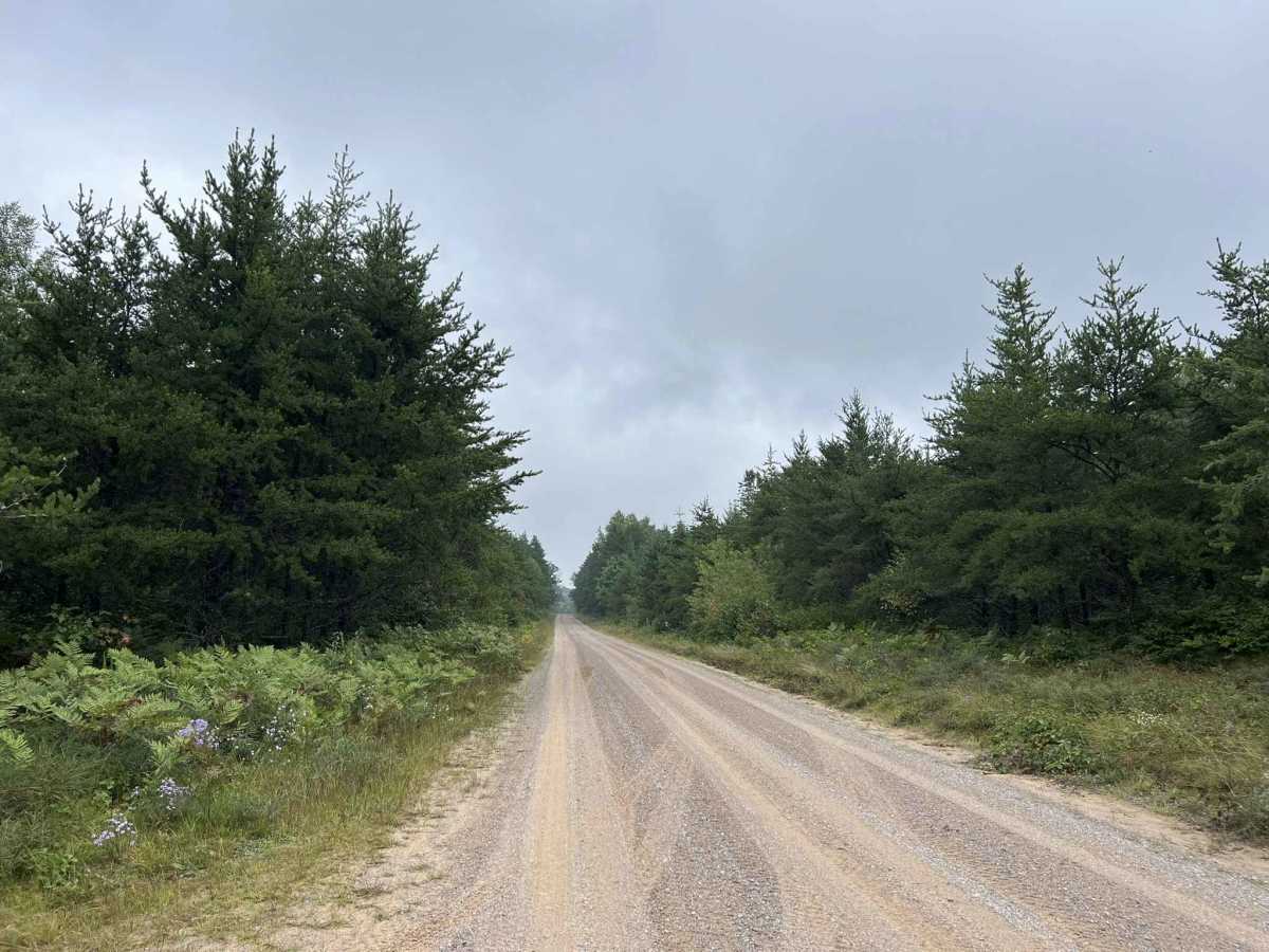 Chickadee Road - FS 2102 photo 2