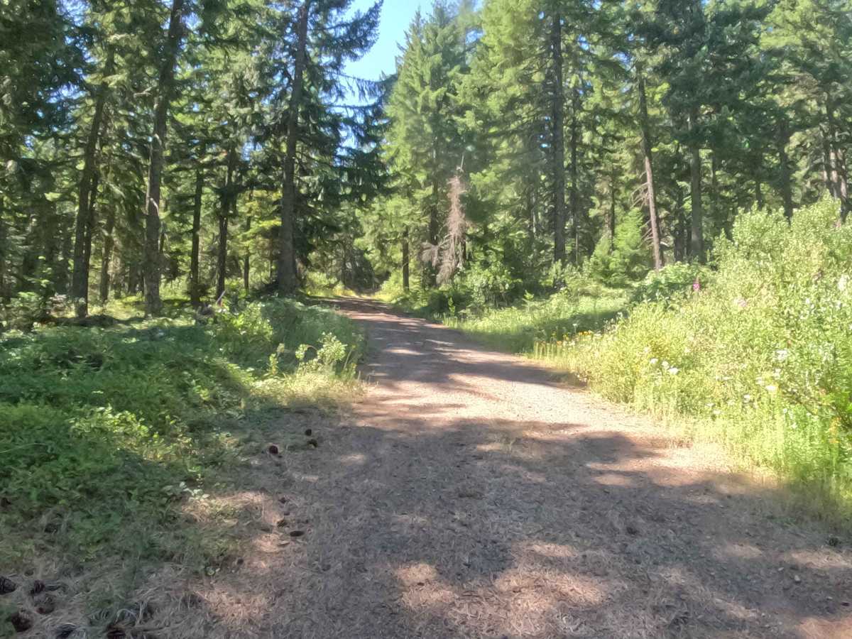 FS 2067530 photo 3