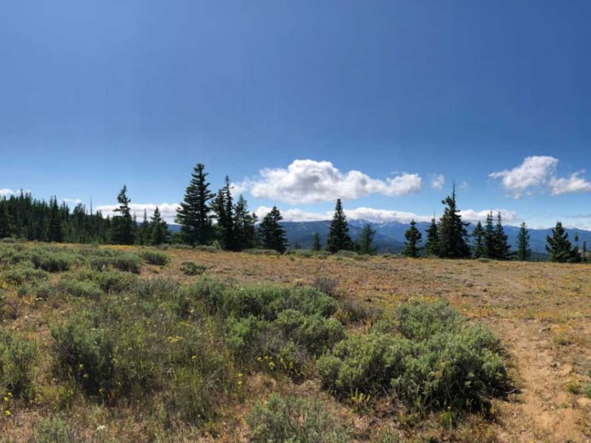 Bethel Ridge Road West photo 5