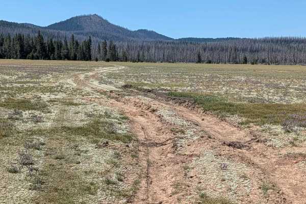 Horse Spur A - FS 44N08A