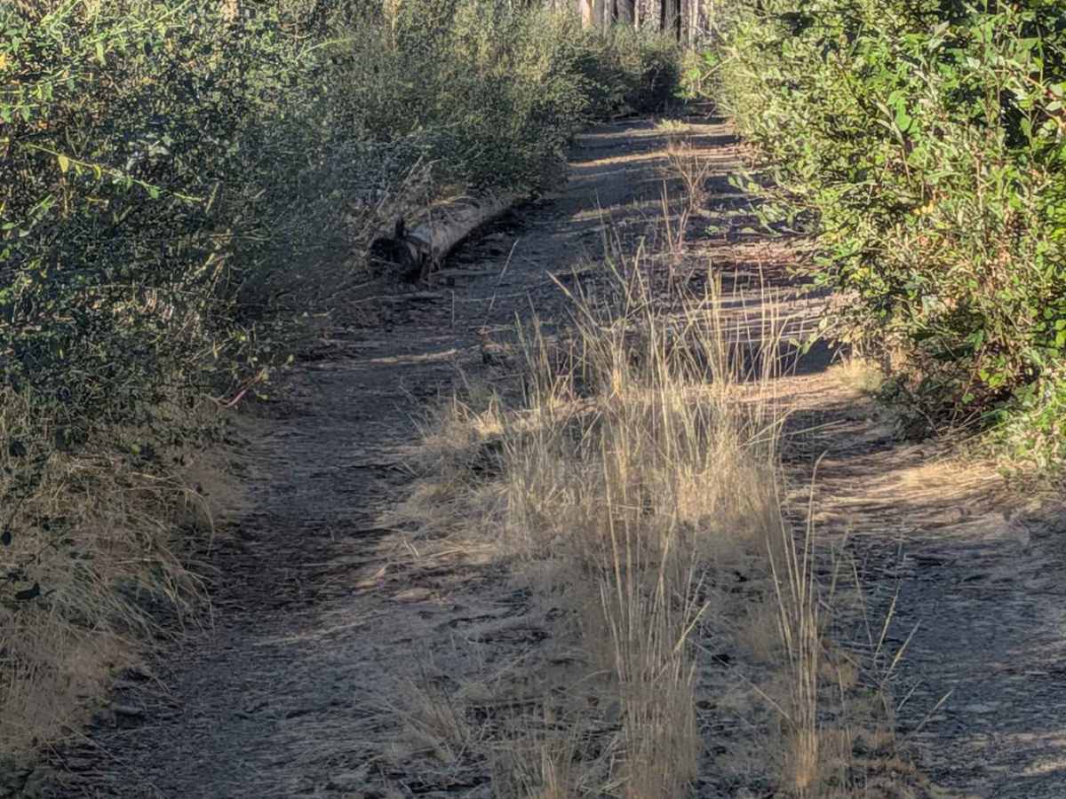 McFarland Ridge Road - FS 29N25 photo 4