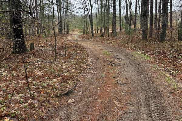 Kolke Creek Trail