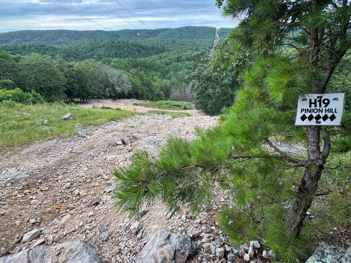 H19 Pinion Hill photo 5