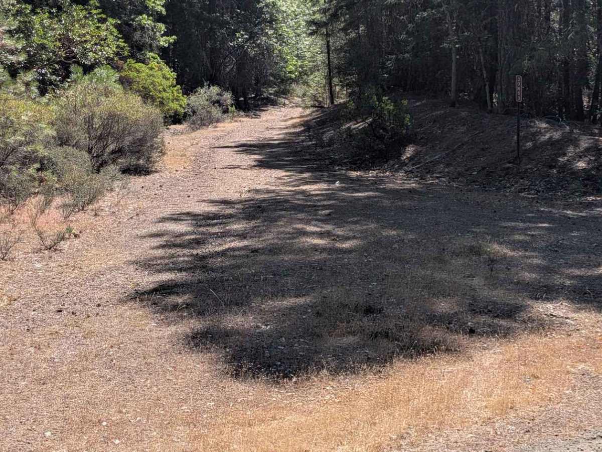 West Duba Road - FS 30N53 trail photo