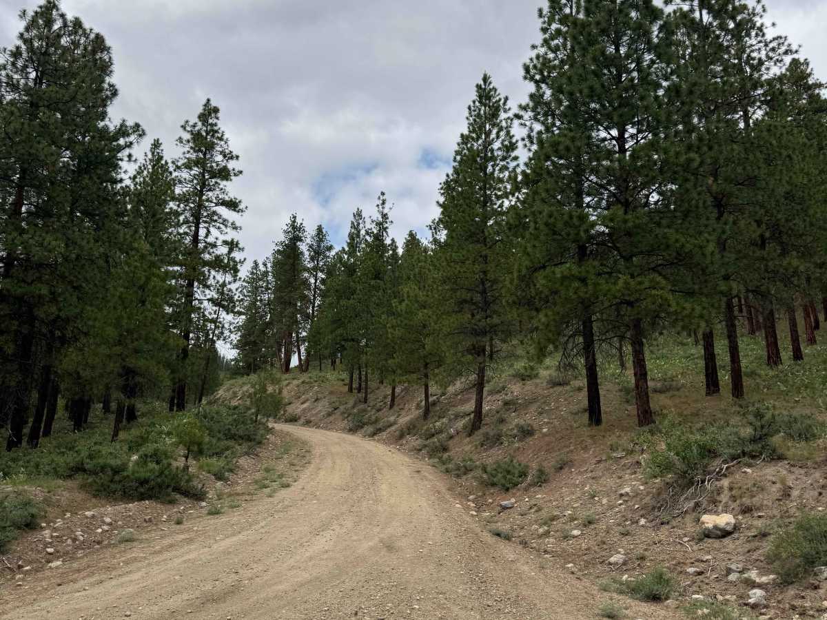 Ramsey - FS 5009-100 trail photo