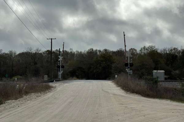 Fishing Road