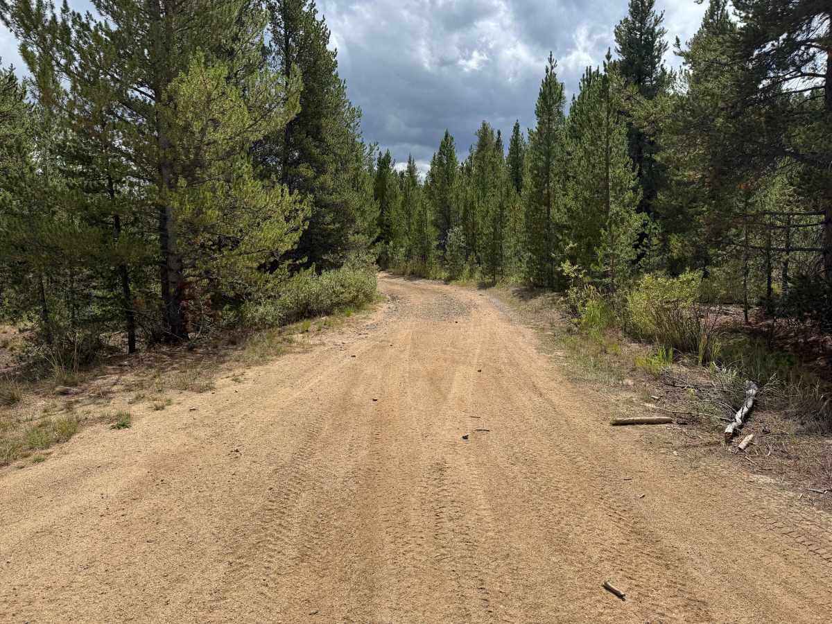 Tennessee Creek Road photo 5