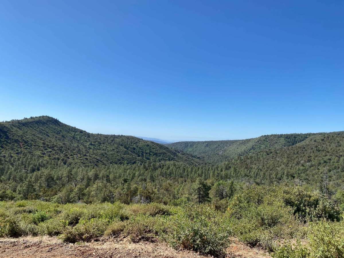 Strawberry to Pine trail photo