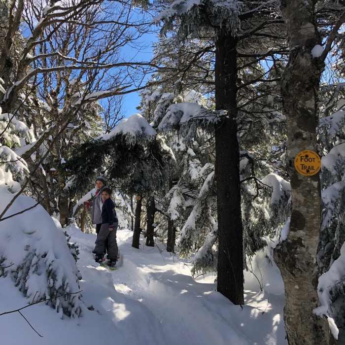 Near Spruceton Trail Shelter Out-and-Back
