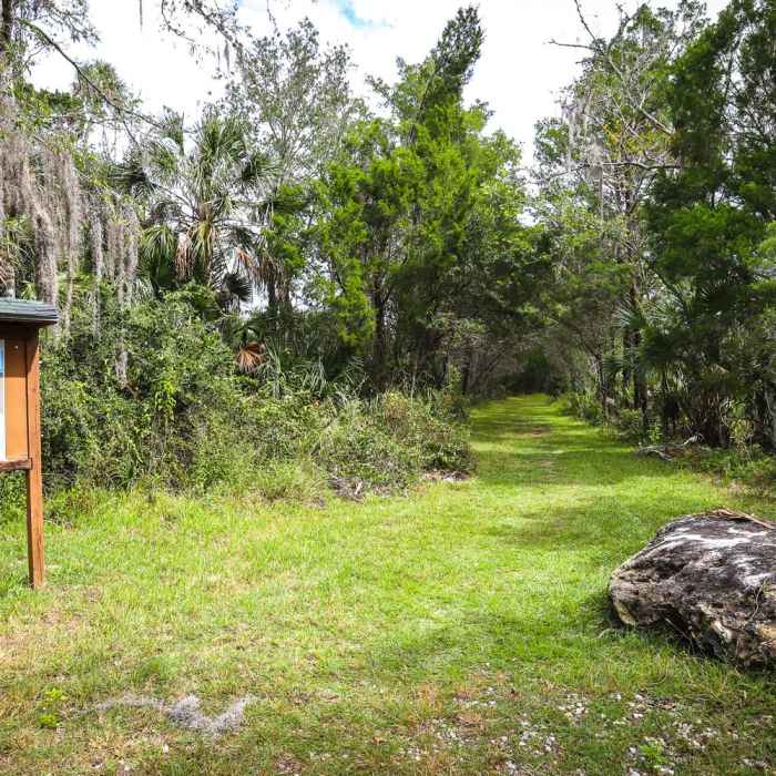 Near Crystal Cove Trail