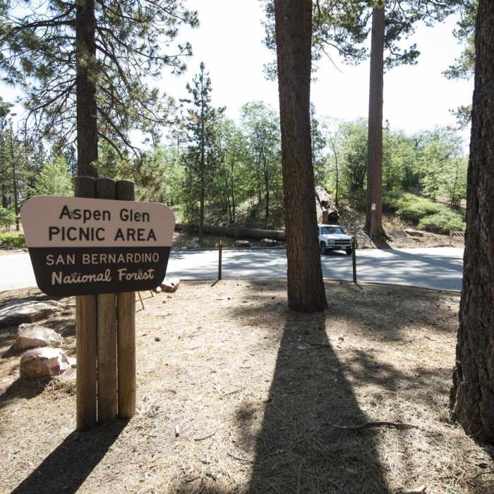 Near Grand View Point Hike