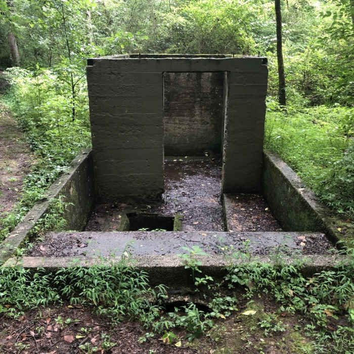 Near Maryville Woods College Loop