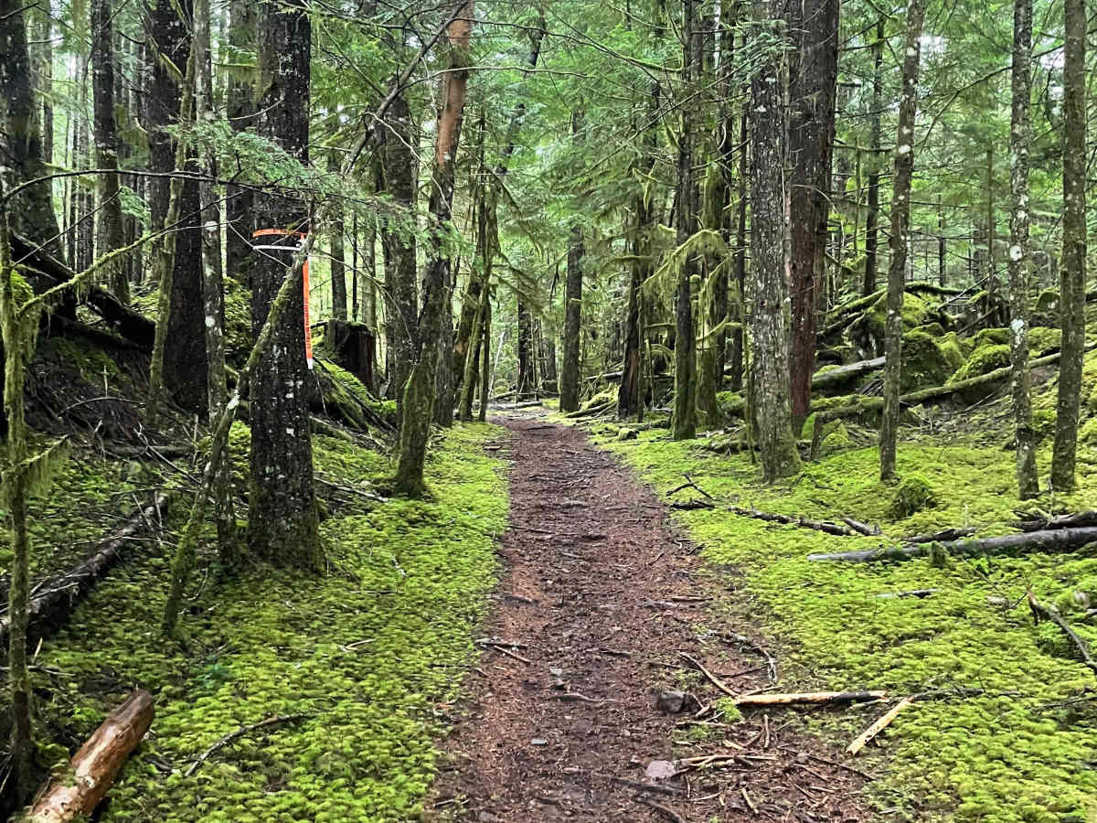 Doubletrack trail photo
