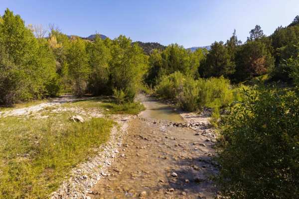Beaver Creek Road
