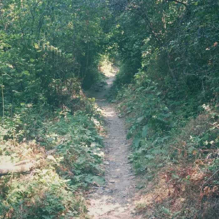 The Green Tunnel...one of our favorite spots to go near the Wilber Trailhead off of Seven Mile. Beautiful scenery! Near Spokane Centennial Trail: Wilbur Trailhead to McLellan Trailhead
