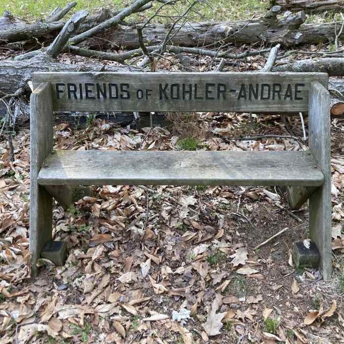 Near Woodland Dunes Trail Near Woodland Dunes Trail