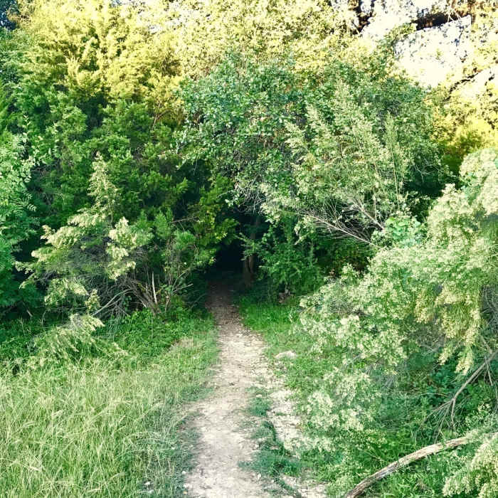 Near Lakeway Boulevard Hike and Bike Trail