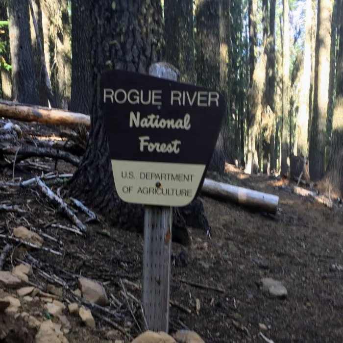 Near Fish Lake to Brown Mountain Shelter