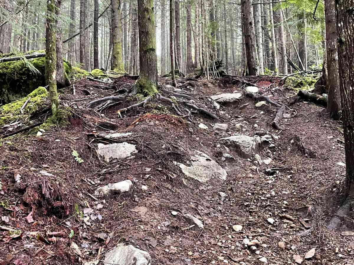 Are You Kidding trail photo