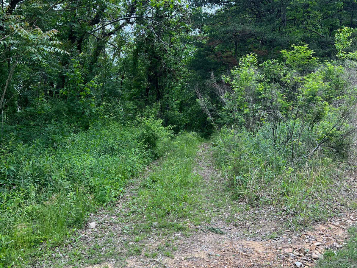 Q58 - Wildcat Hole photo 2