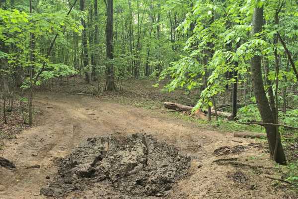 Trail 1B