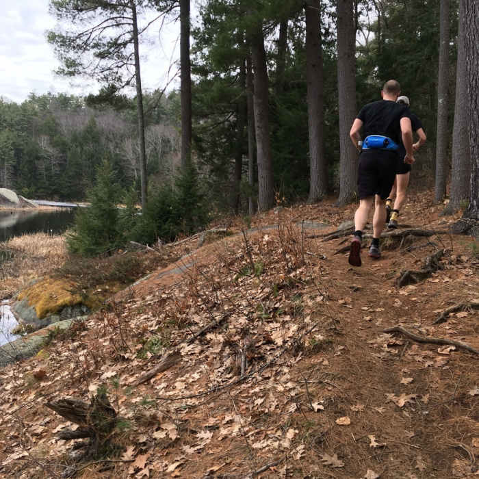 Near Pawtuckaway North and South Mountain Linkup