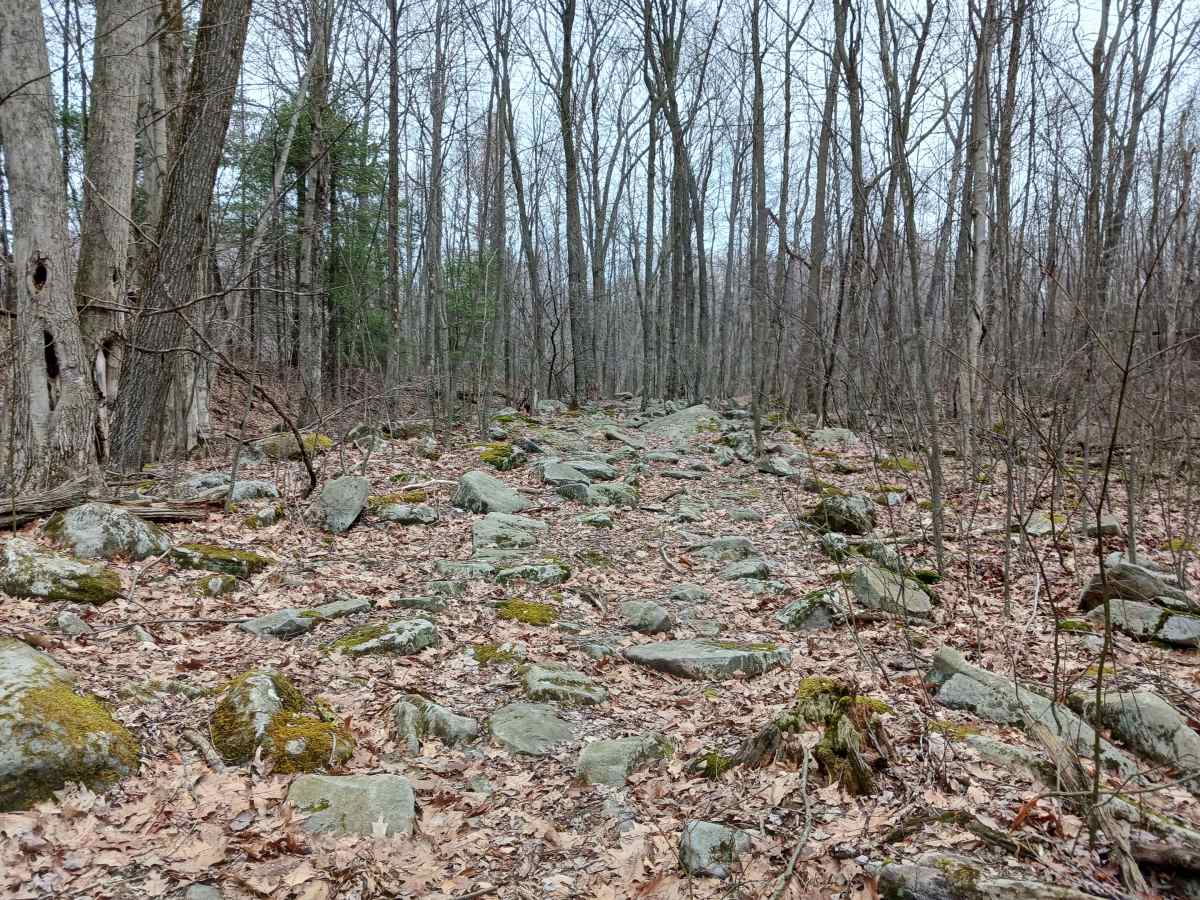 OHV 57 - Rock Run Recreation Area photo 3