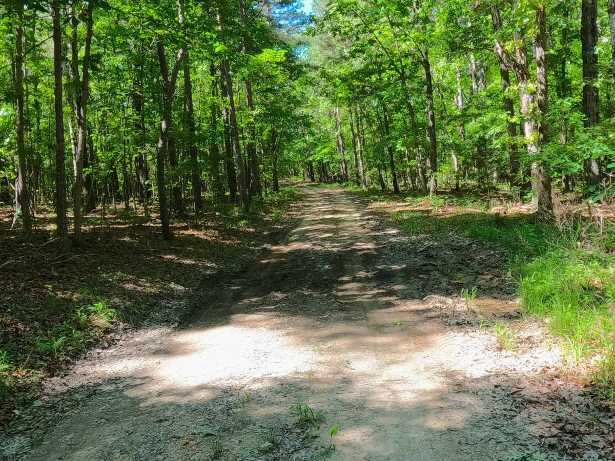 Grassy Hollow - FS 3714 photo 4