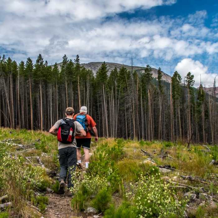 Near Lily Pad Lake via Salt Lick Trailhead