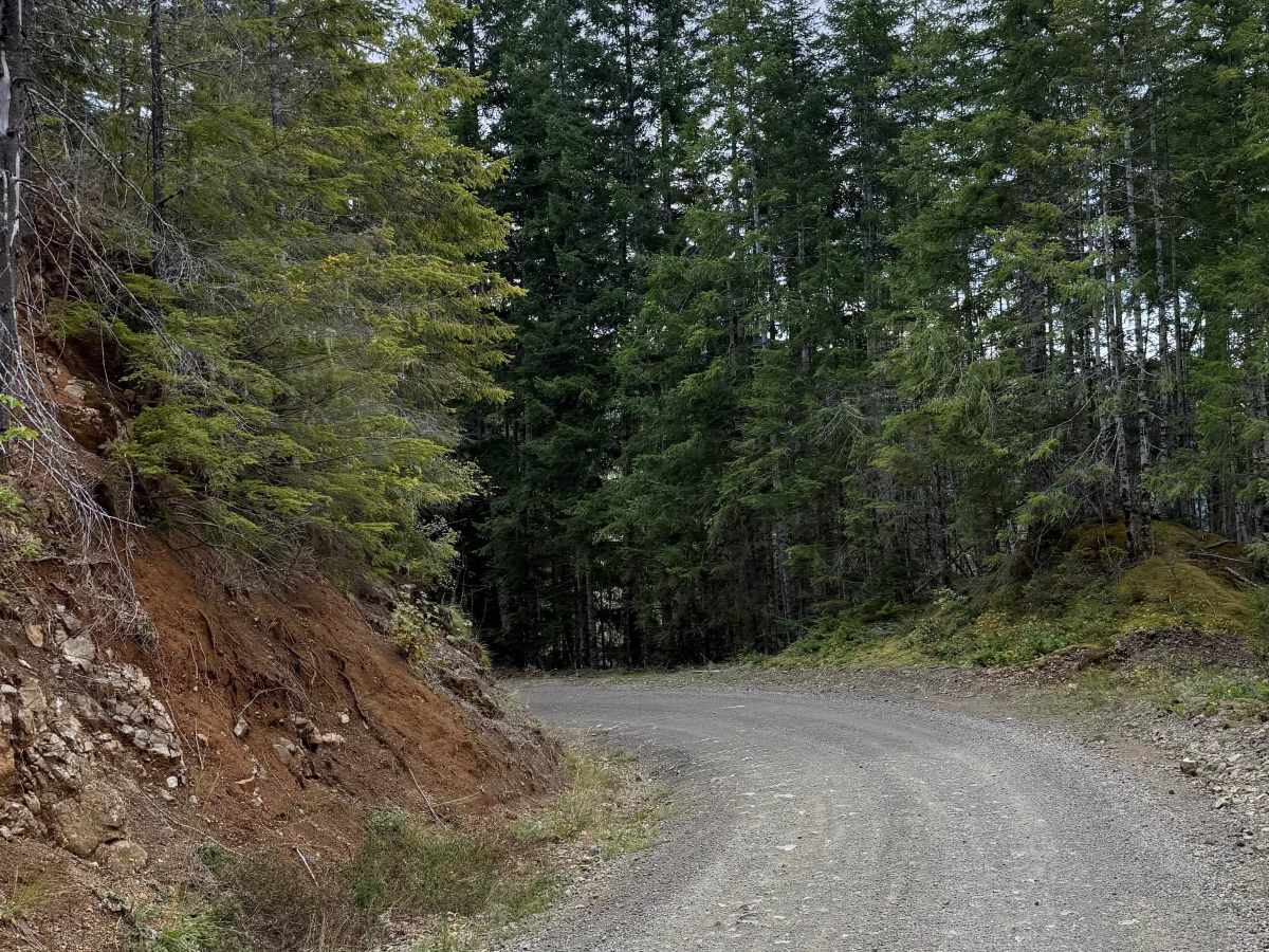 Skok Wynoochee Connector photo 3
