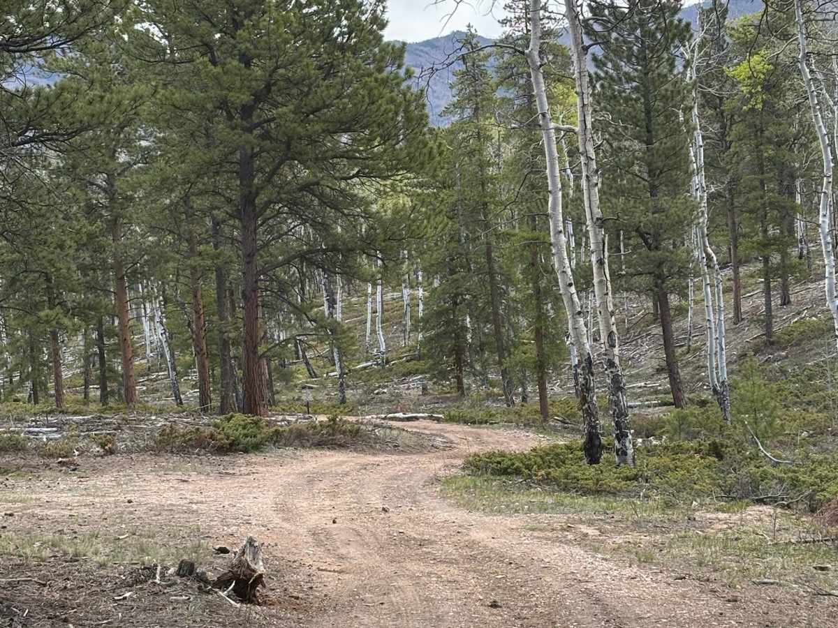 Lasso Road photo 2