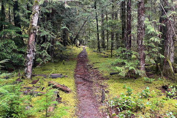 Lava Ridge 1