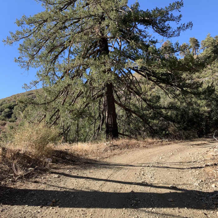 Near Mill Creek to Iron Mountain