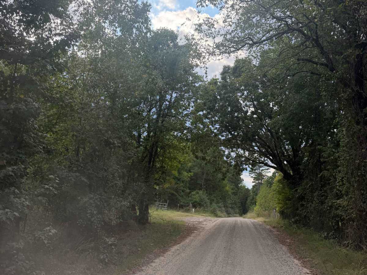 Blue Jay Hollow photo 2