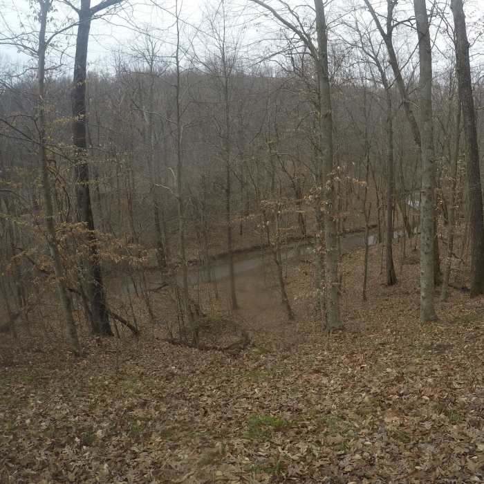 Enjoy this nice downhill section overlooking the creek. Near Low Gap Backcountry Trail