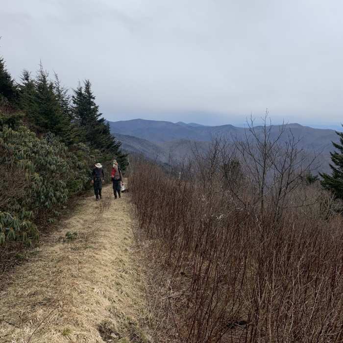 Near Winterstar Trail to Horse Rock Bald