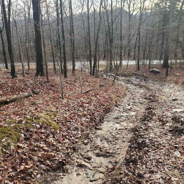 Near Shawls Gap to High Peak