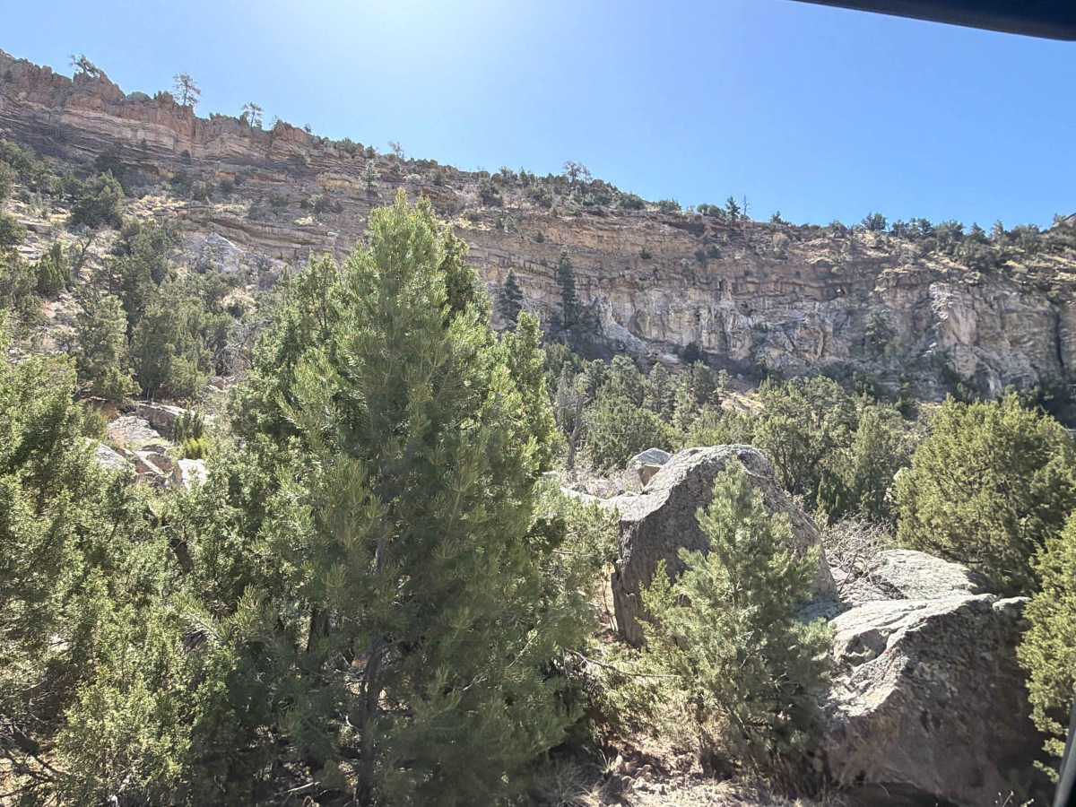 BLM 5941B photo 4