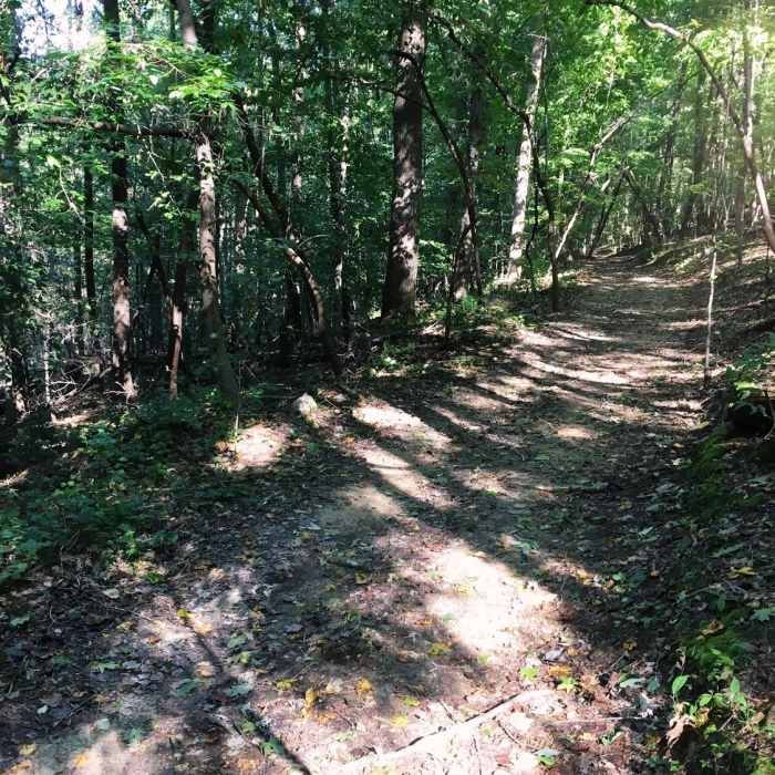 Near Occoneechee Mountain Loop Trail