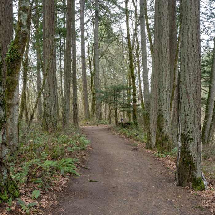 Near Tualatin River Greenway Trail
