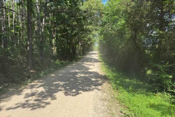Rushing Road