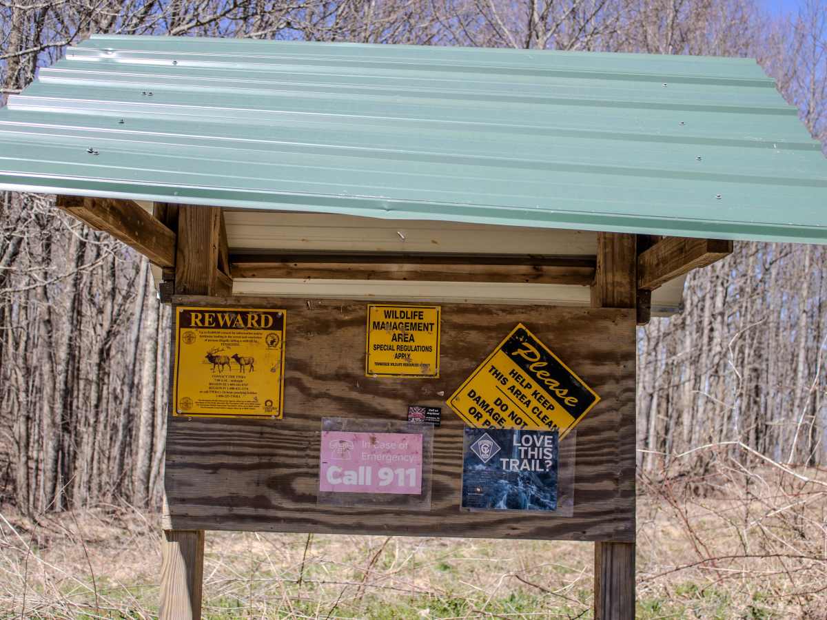 Pine Bald Trail photo 5