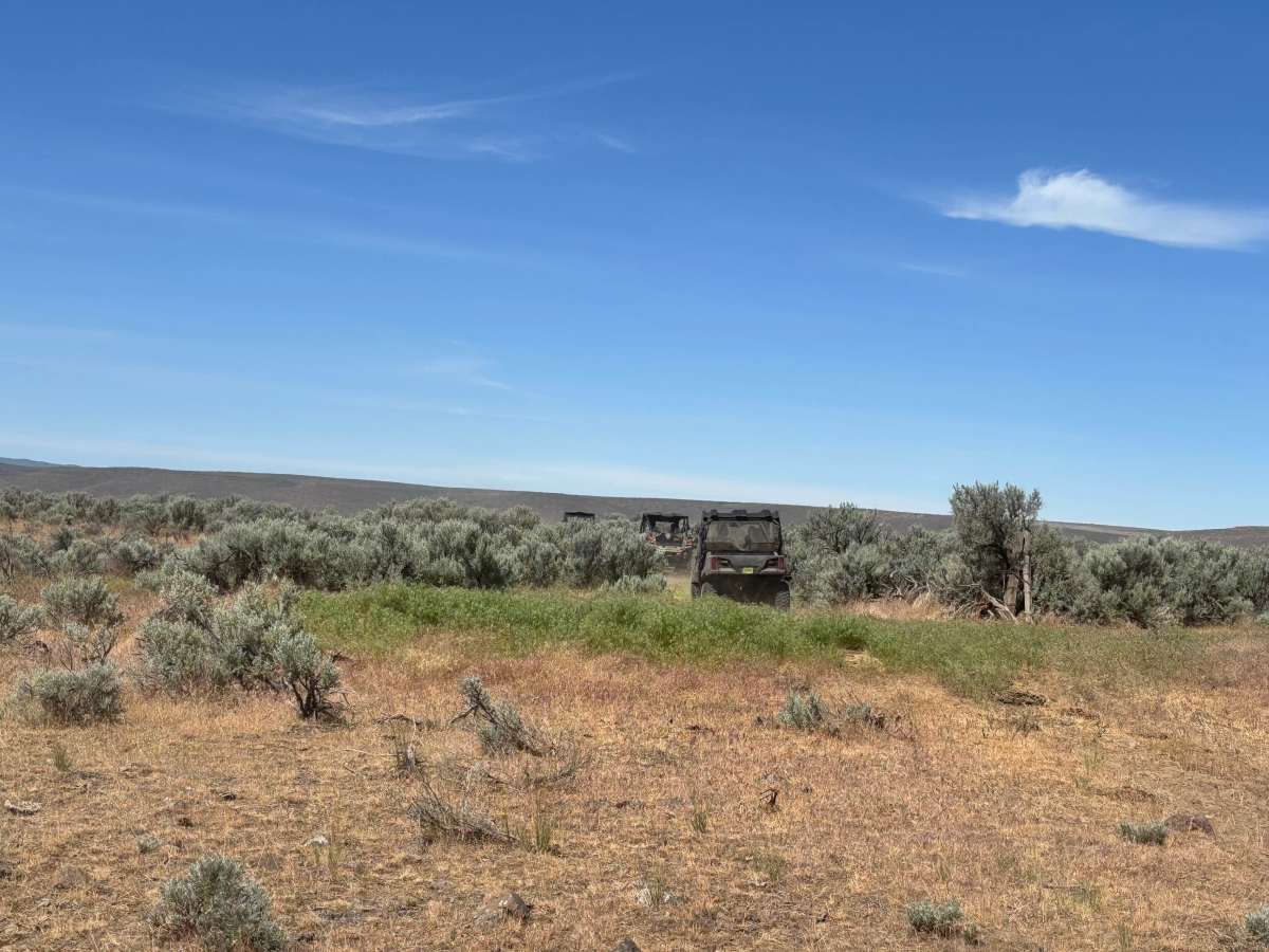 Sagebrush Flats Cattle Trail photo 6