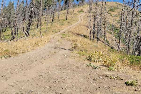 Warm Springs Creek Trail